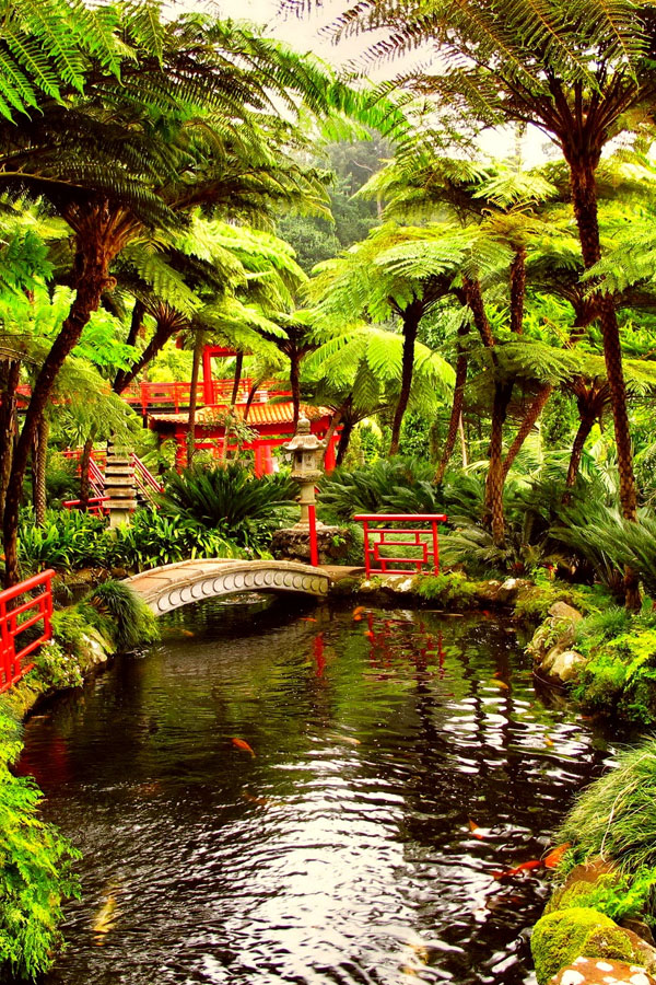 Japanese Garden Service in Chennai