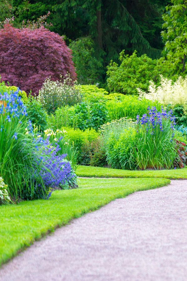 Soft Landscaping Service in Chennai